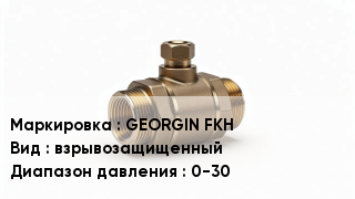 Датчик давления GEORGIN FKH взрывозащищенный 0-30